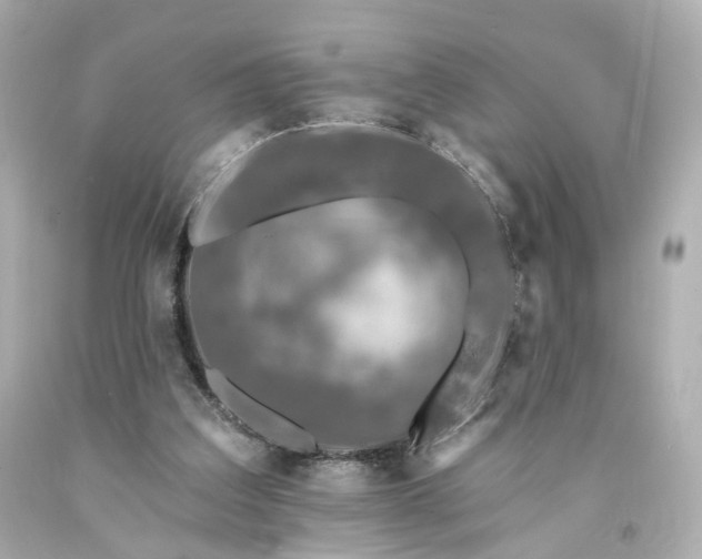 X0000094170203200711020949