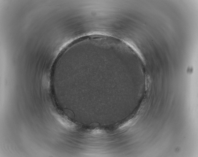 X0000094170204200711020949