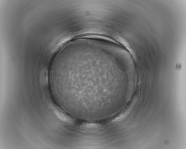 X0000094170205200711020949