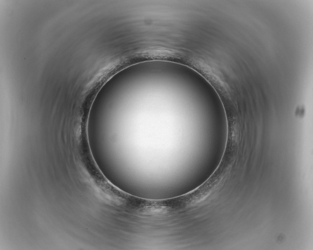 X0000094170206200711020949