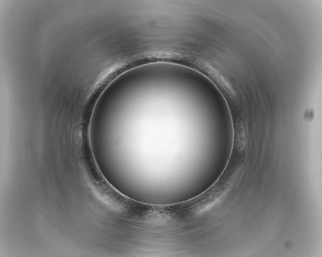 X0000094170207200711020949