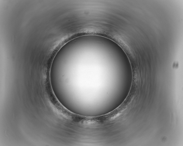 X0000094170208200711020949