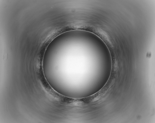 X0000094170210200711020949