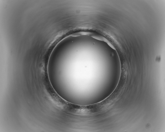 X0000094170212200711020949