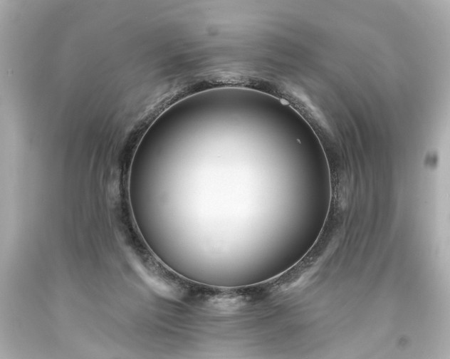 X0000094170213200711020949