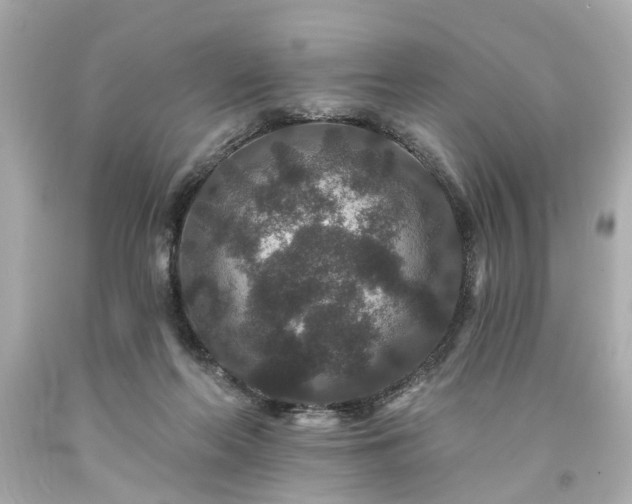 X0000094170214200711020949