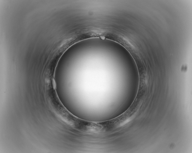 X0000094170215200711020949