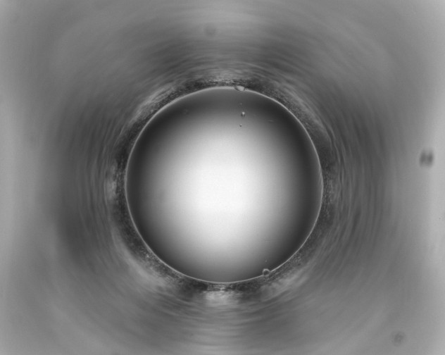 X0000094170216200711020949