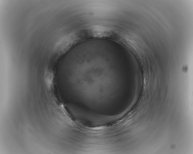 X0000094170219200711020949