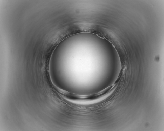 X0000094170221200711020948
