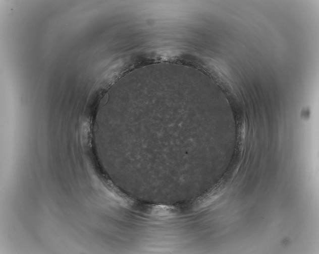 X0000094170222200711020948