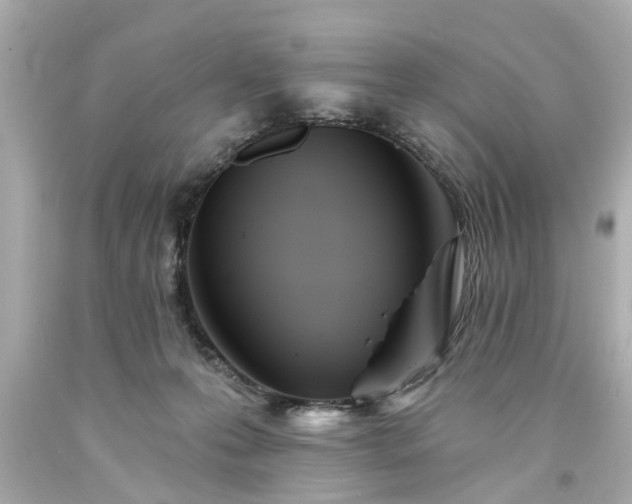 X0000094170223200711020948