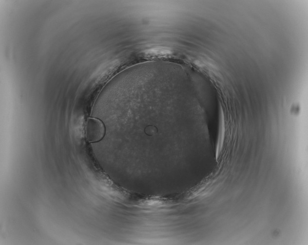 X0000094170224200711020948