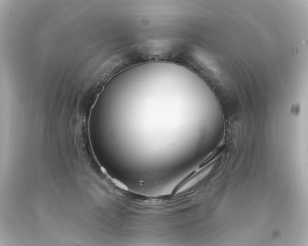 X0000094170225200711020948
