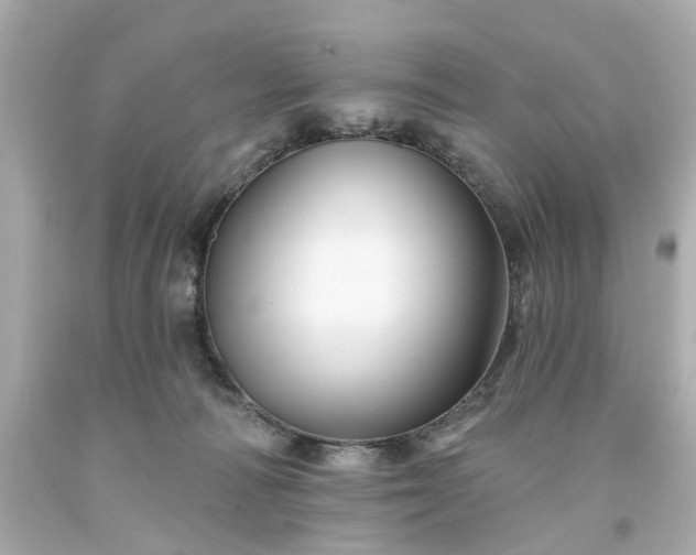 X0000094170226200711020948
