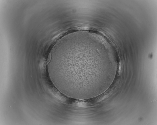 X0000094170228200711020948