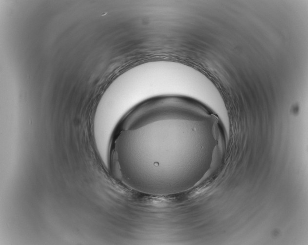 X0000094170229200711020948