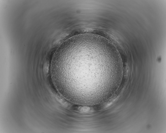 X0000094170230200711020948