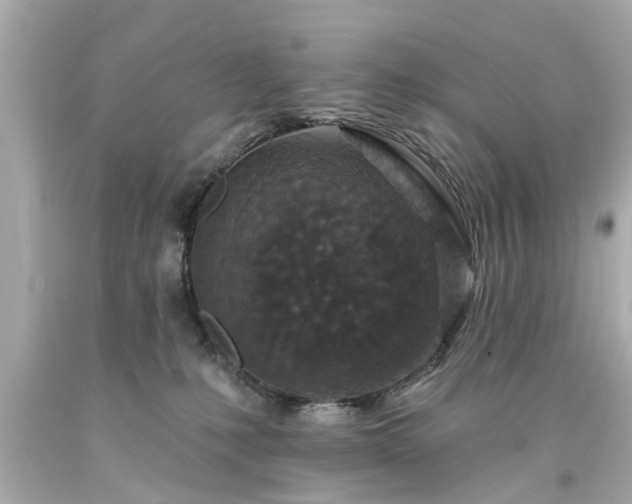 X0000094170231200711020948