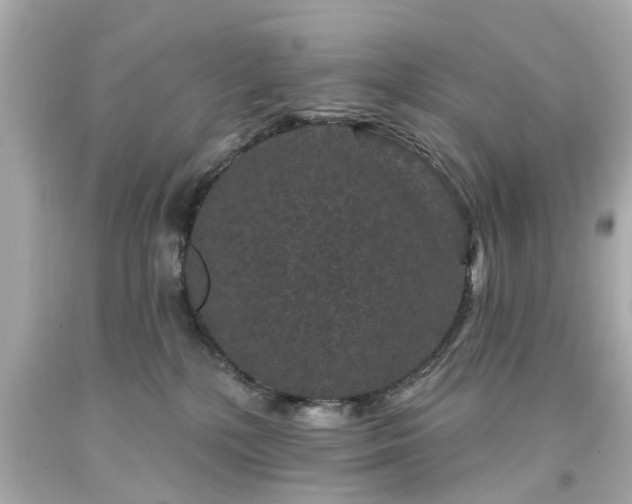 X0000094170232200711020948