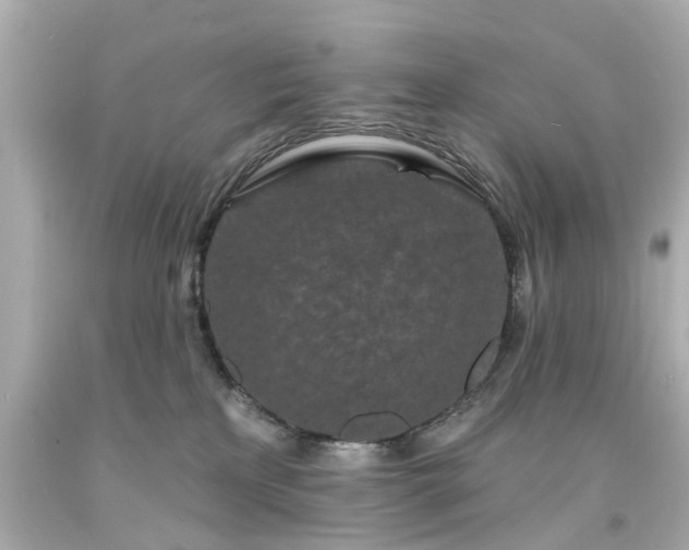 X0000094170233200711020948