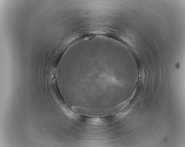 X0000094170237200711020948