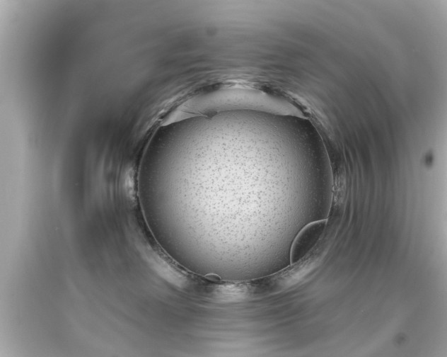 X0000094170238200711020948