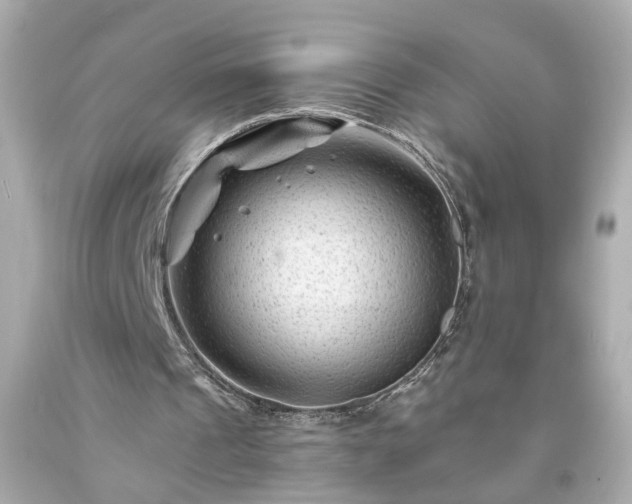 X0000094170241200711020947