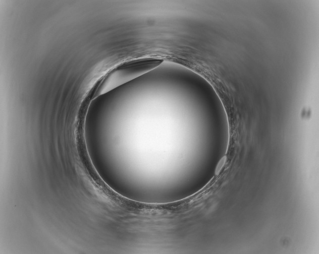 X0000094170242200711020947