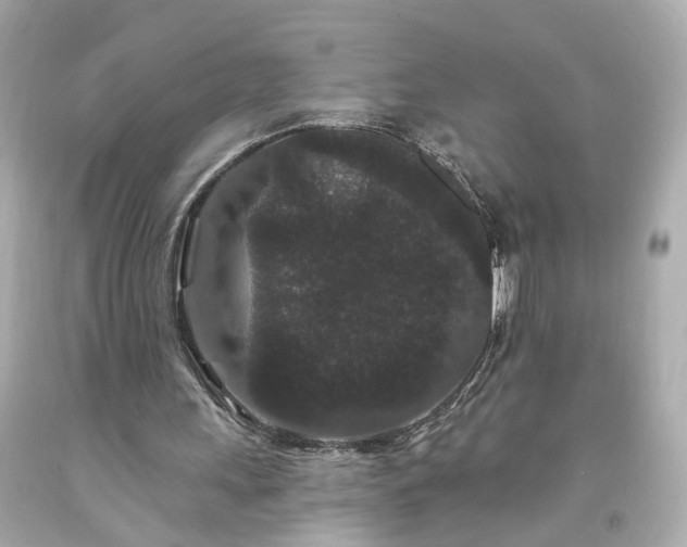 X0000094170243200711020947