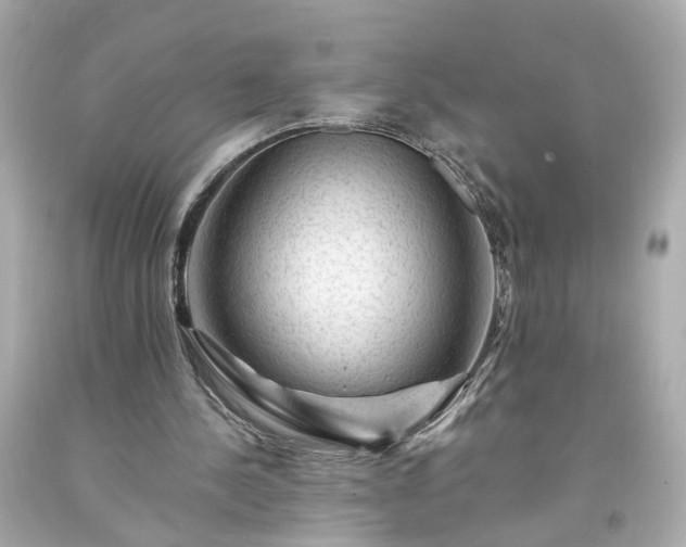 X0000094170244200711020947
