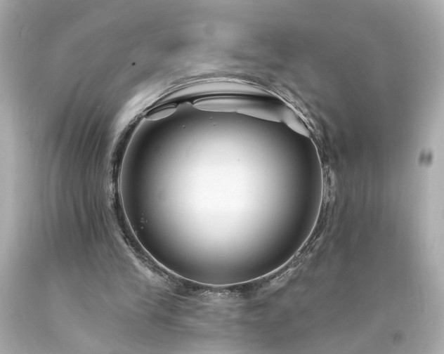 X0000094170245200711020947