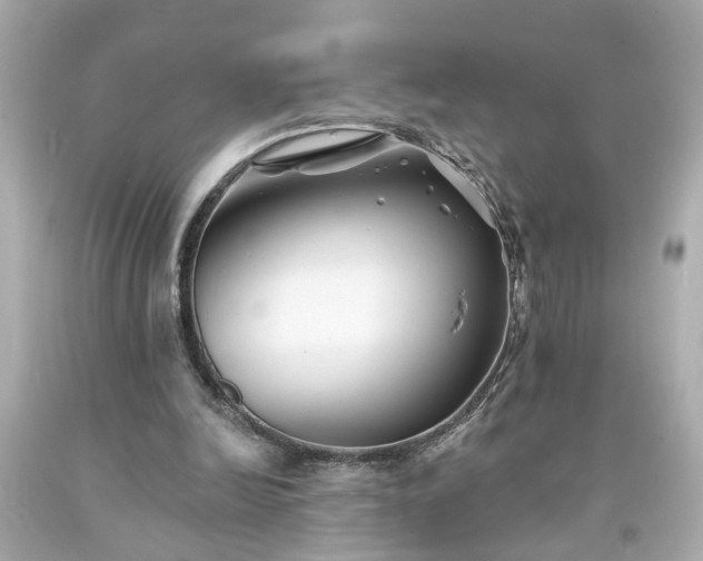 X0000094170246200711020947