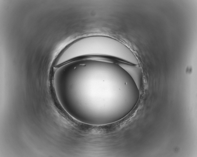 X0000094170248200711020947