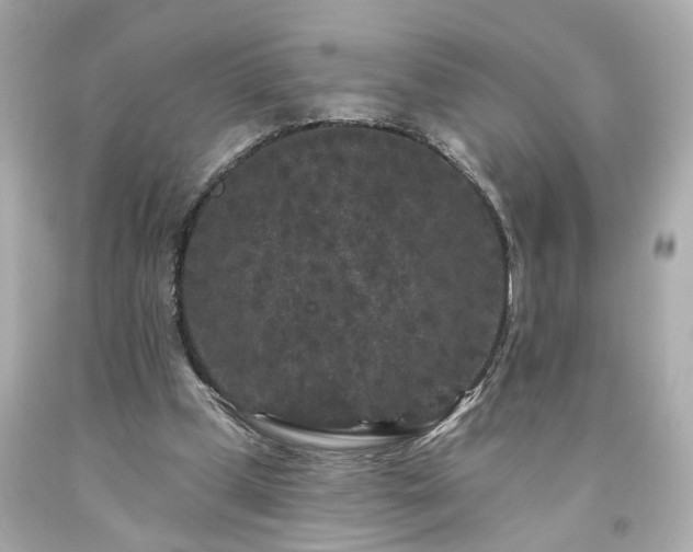 X0000094170249200711020947
