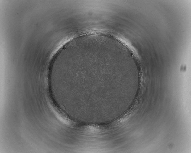 X0000094170250200711020948