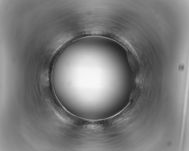 X0000094170251200711020948