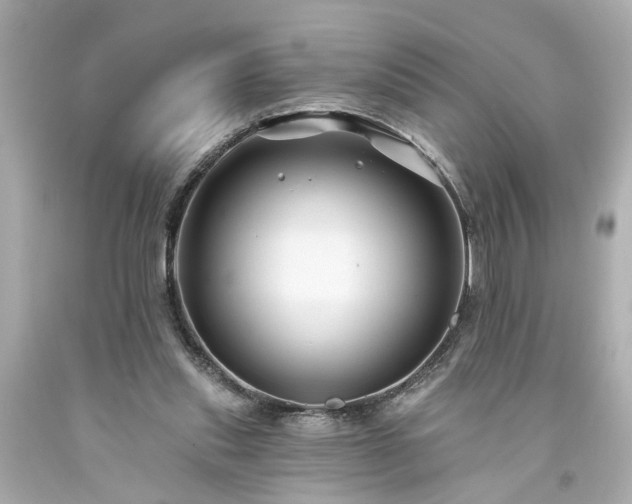 X0000094170253200711020948