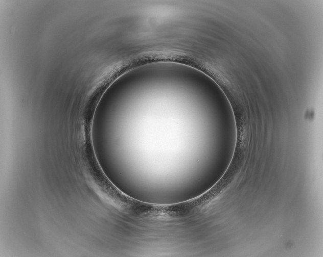 X0000094170254200711020948