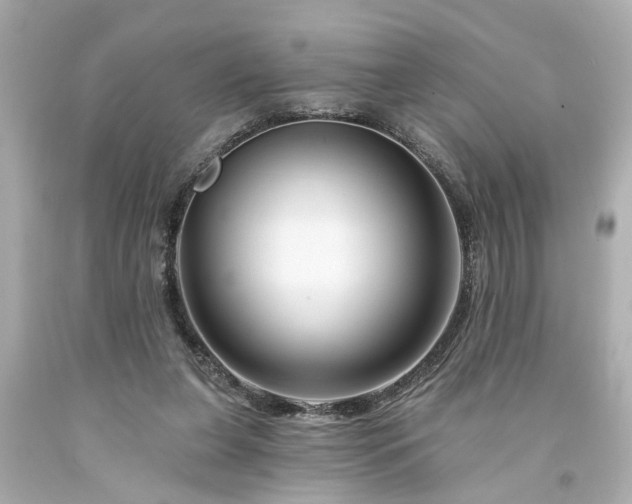 X0000094170255200711020948