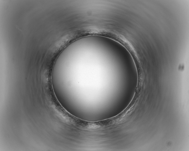 X0000094170257200711020948