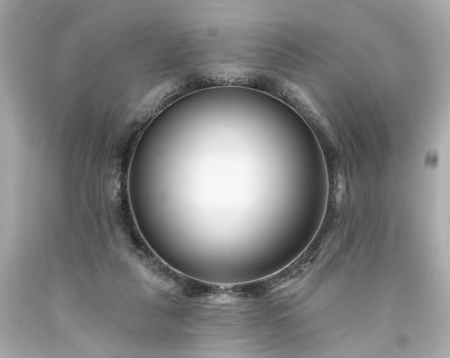 X0000094170259200711020948