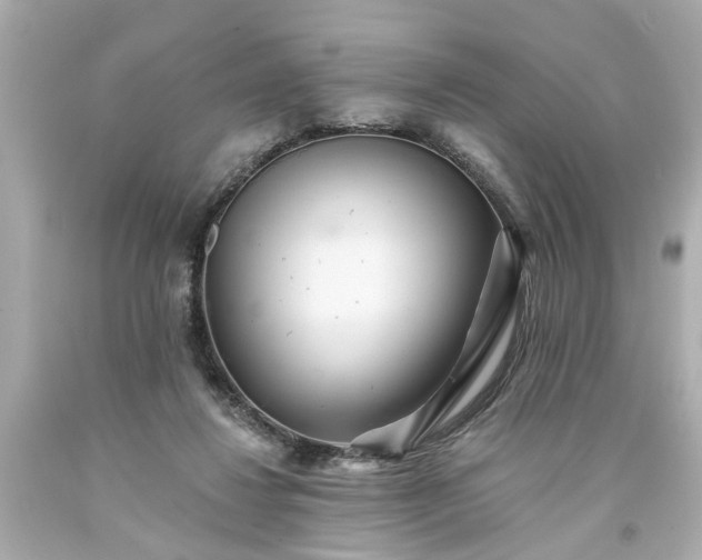 X0000094170260200711020948