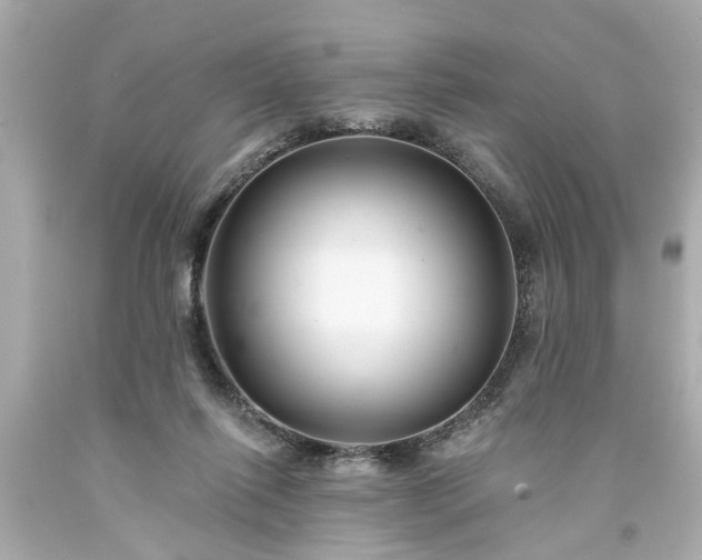 X0000094170262200711020948