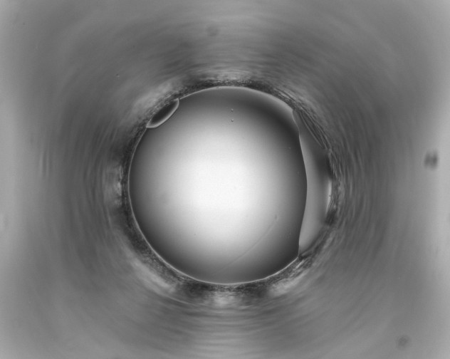 X0000094170264200711020948