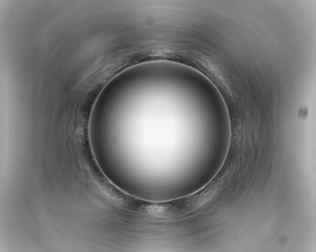 X0000094170265200711020948