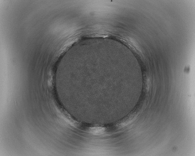 X0000094170266200711020948
