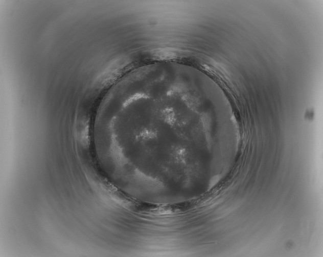 X0000094170267200711020948
