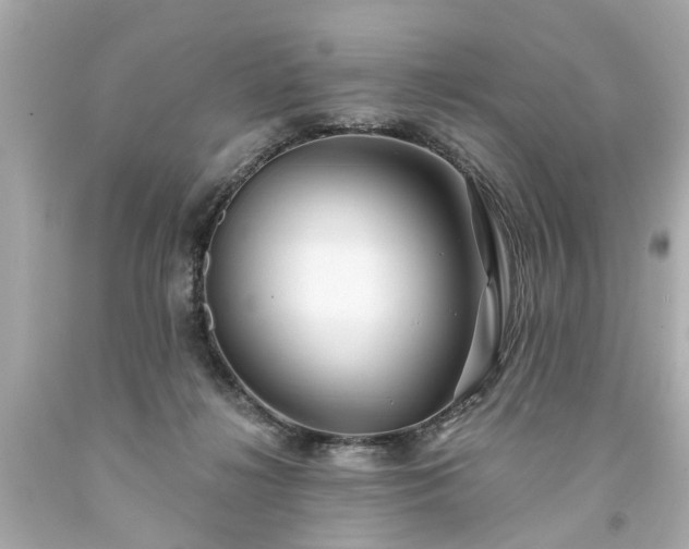 X0000094170268200711020948