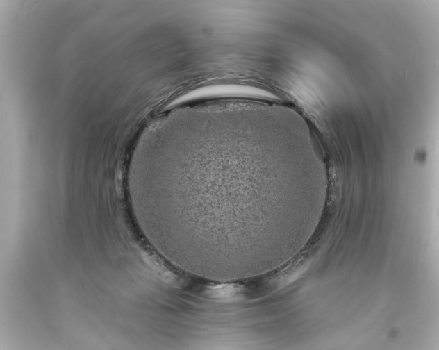 X0000094170269200711020948